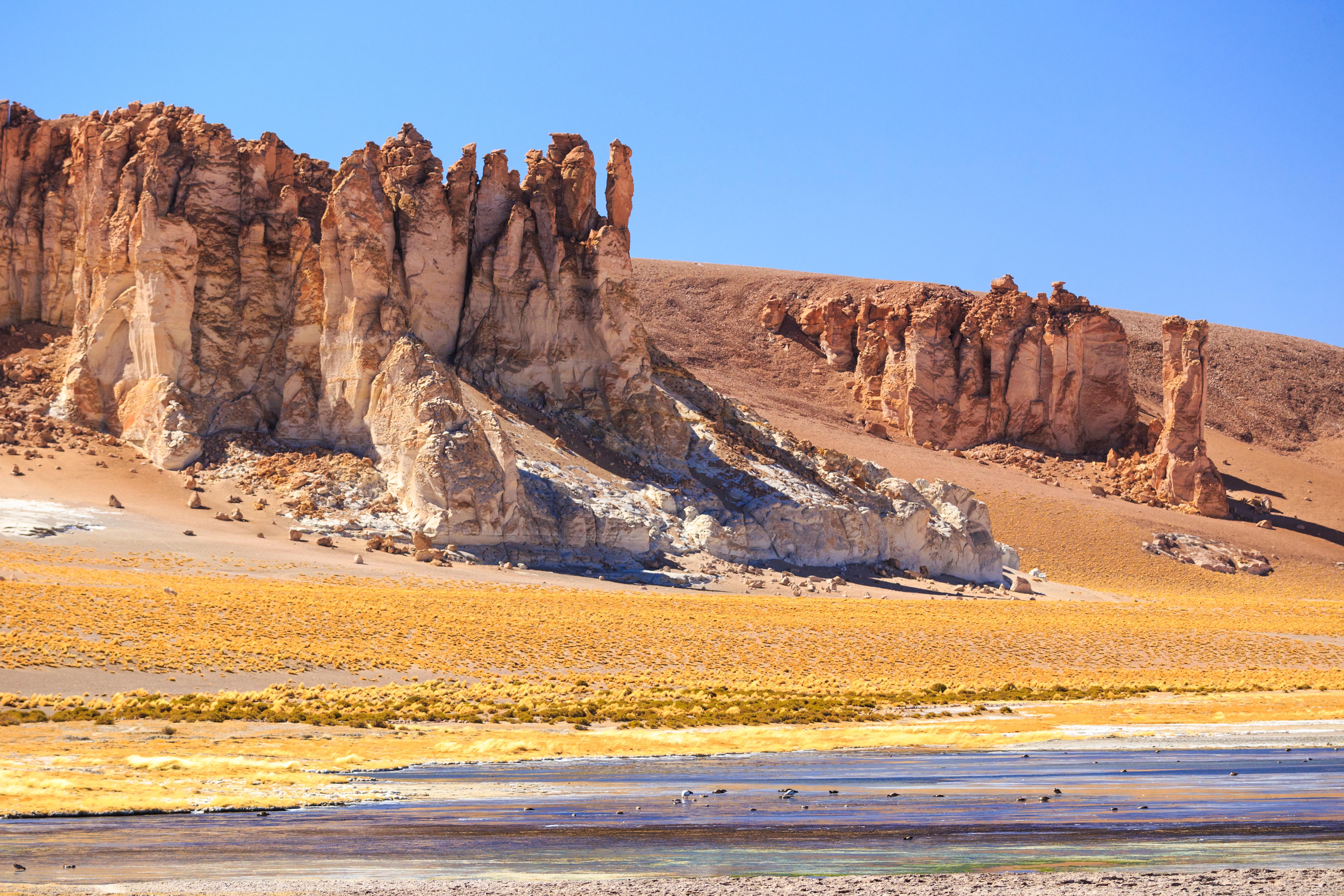 Tour 4 Dí­as / 3 Noches Atacama San Pedro, Salar de Tara, Tatio, Piedras Rojas