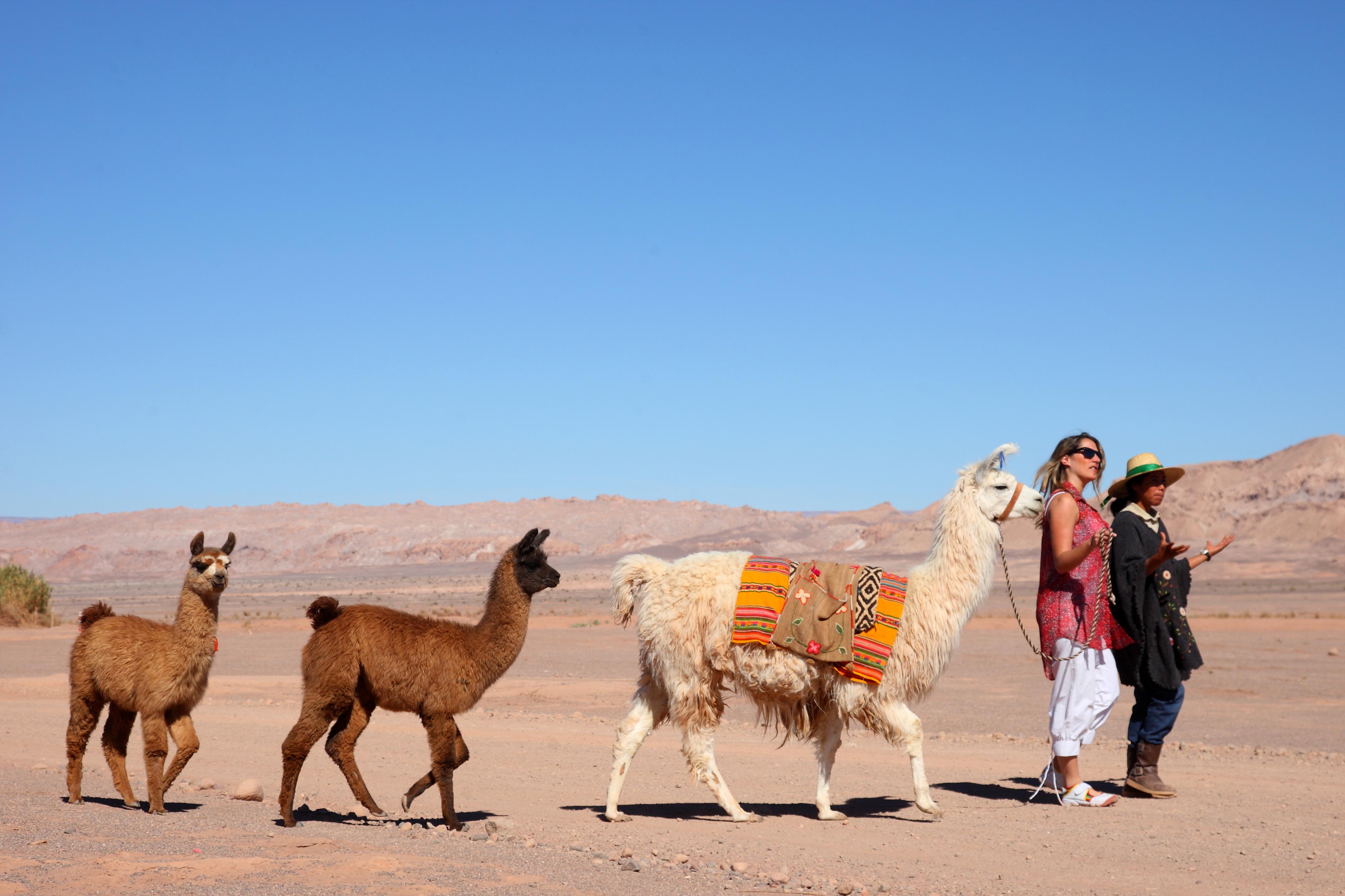 Tour 3 Dí­as / 2 Noches Atacama San Pedro, Lagunas, Tebinquiche, Valle de la Muerte