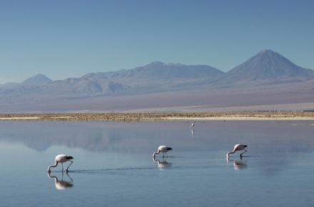 Nos vamos de tour por el desierto más árido del mundo, el de Atacama